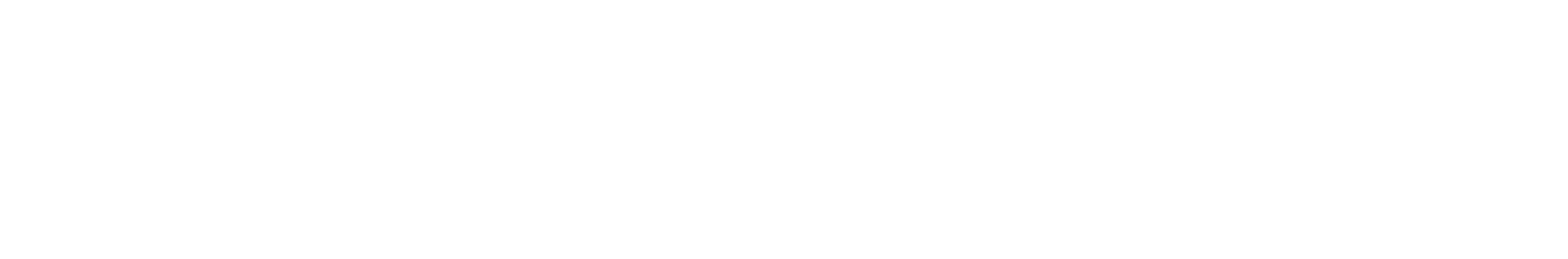 Everise